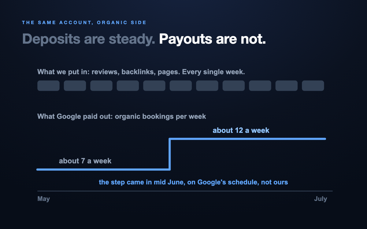 Two rows: steady weekly deposits of reviews, backlinks, and pages on top, and below, organic bookings per week holding at about 7 then stepping to about 12 in mid June, on Google's schedule